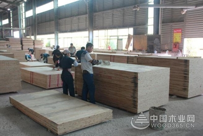 好板材,格绿造--中国木业网走进福建格绿木业