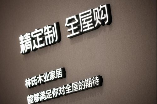 林氏木业提出全屋定制业务,深入探讨定制家具发展模式