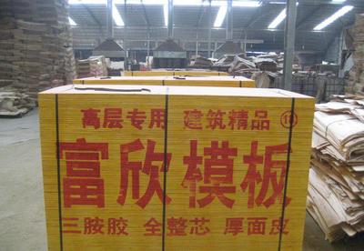 湖南建筑模板 湖南建筑模板厂家直销 可用10-12次图片_高清图_细节图-沭阳县龙庙镇富欣木业制品厂 -