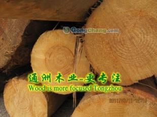 供应通洲木业铁杉建筑木材,落叶松方木,铁杉建筑木方加工通洲木业_纺织皮革_世界工厂网中国产品信息库
