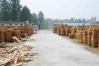 LQL木业：优质木材产品的专业选择