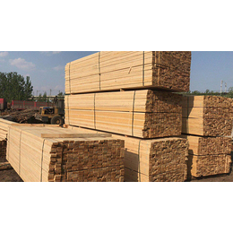 拉萨木材市场介绍与鼎泰丰木业推荐