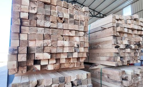 投资亿元，新源添新绿——新疆新源县现代化木材加工厂正式投产，引领木业高质量发展